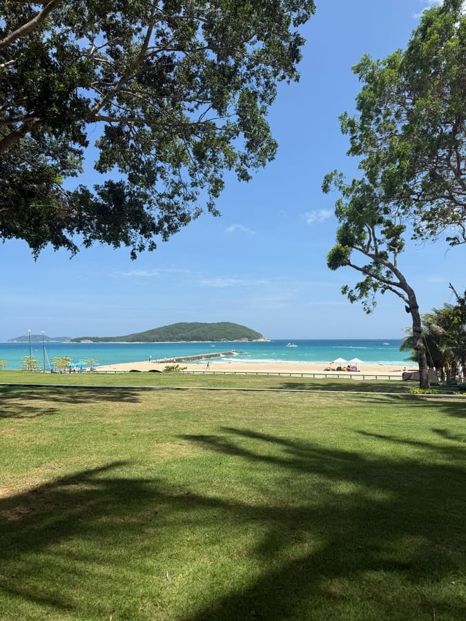 Профессорская клиника «Фоцы»